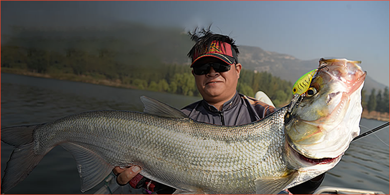 image-bottom-ve-chung-toi.png
