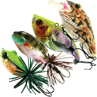 banner-can-cau.png
